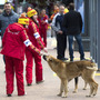 Olympic volunteers pet a stray dog in downtown Sochi, Russia, on Tuesday. The city's long-standing contract with a pest control company has animal right groups concerned about the fate of the many strays roaming the area.