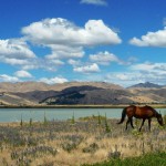 Complete mitochondrial genome sequences of ancient New Zealanders