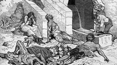 Black Death likely altered European genes